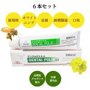 デンタルポリスDX 6本セット 口臭抑制 送料無料 歯磨き粉 歯みがき プロポリス 高濃度 薬用歯磨き粉 歯みがきペースト 歯磨きペースト 口臭 歯周病 予防 ...