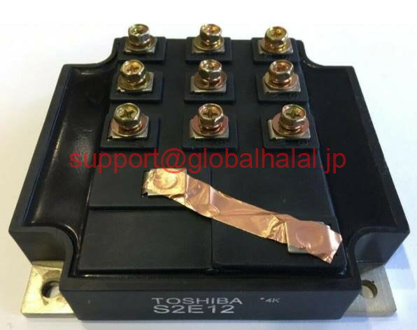新品(2個) S2E12 TOSHIBA MODULE S2E-12