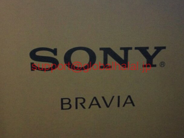 新品SONY CK-T13 NSFP CKT13 ソニー