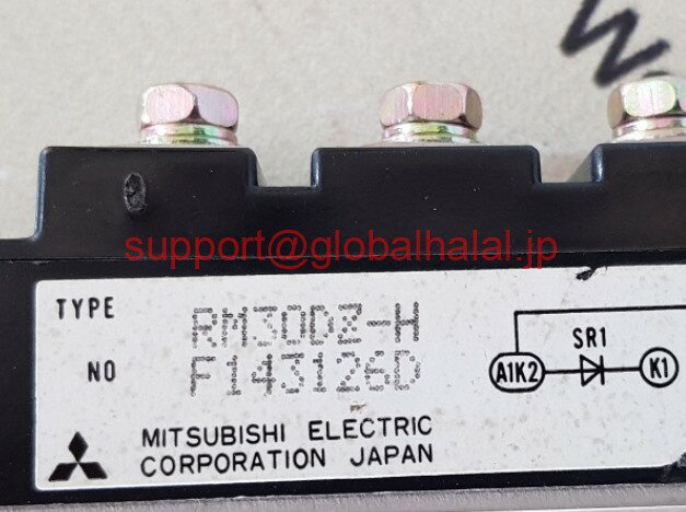 新品【東京発★適格請求書★税込】三菱 RM30DZ-H MITSUBISHI MODULE RM30DZH【6ヶ月保証】