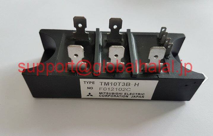 新品TM10T3B-H Mitsubishi IGBT Module TM10T3BH