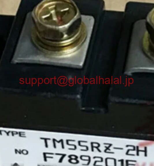 乐天商城 - 新品【東京発★適格請求書★税込】TM55RZ-2H MITSUBISHI MODULE TM55RZ2H 三菱【6ヶ月保証】