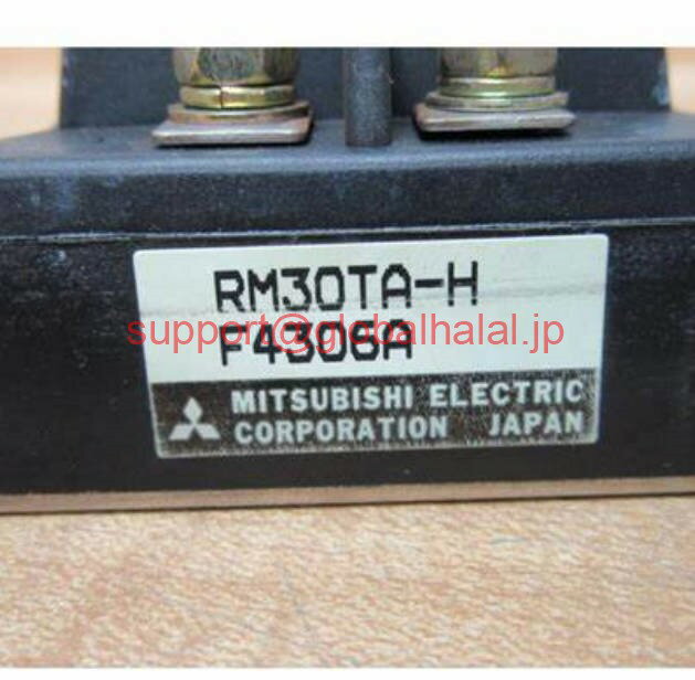 新品RM30TA-H Mitsubishi Module RM30TAH 三菱 -