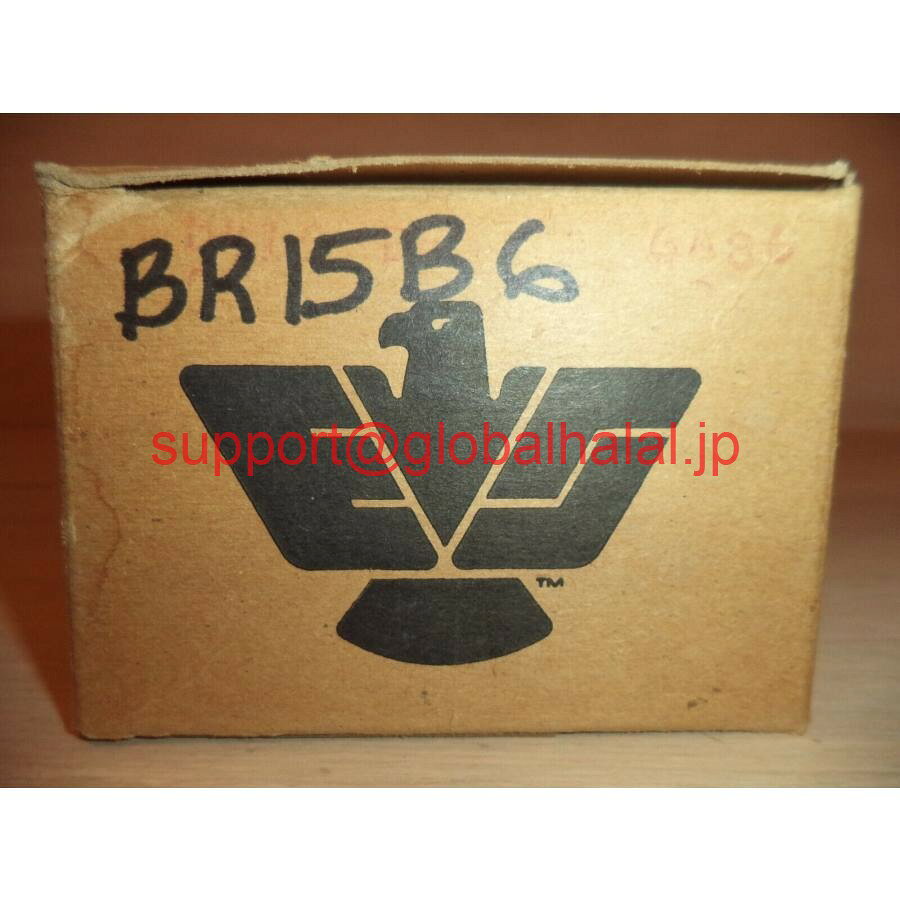 新品Danaher BR15B6タイマーNos Danaher Controls Dynapar 