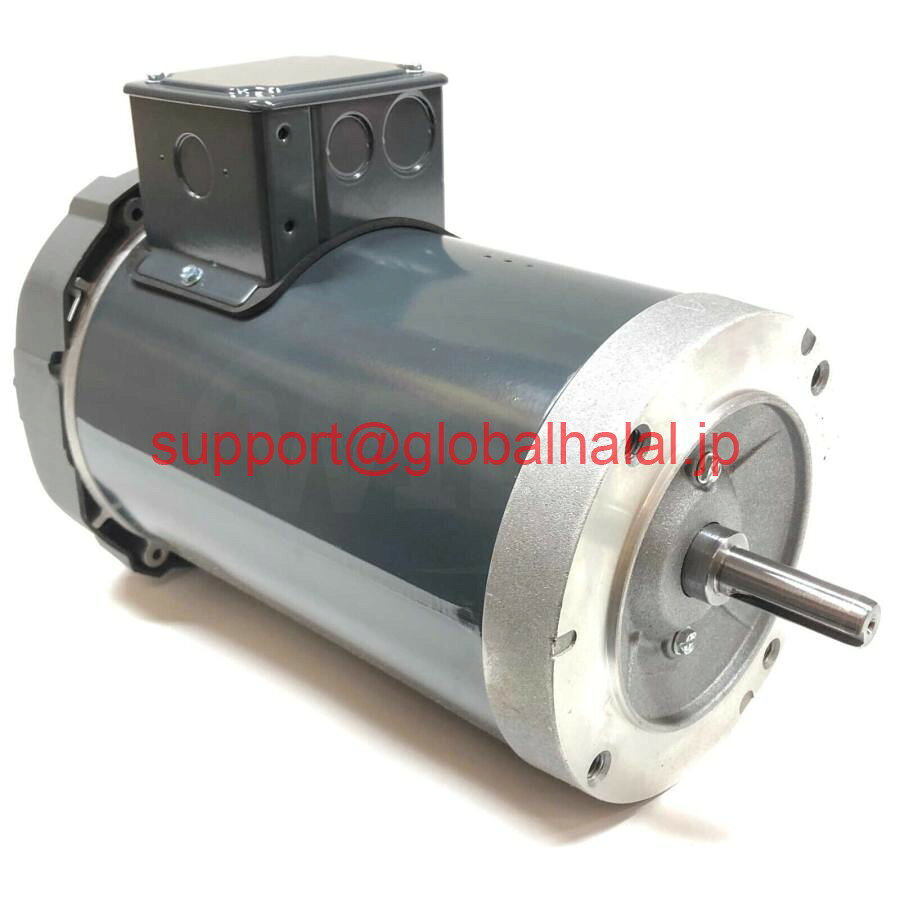 Main Unit - 新品【東京発★適格請求書★代引可】P56AH94A01A（H921LES）世紀1HP、3PH、60-50Hz、230/460V、1725/1425a、モーター 【6ヶ月保証】