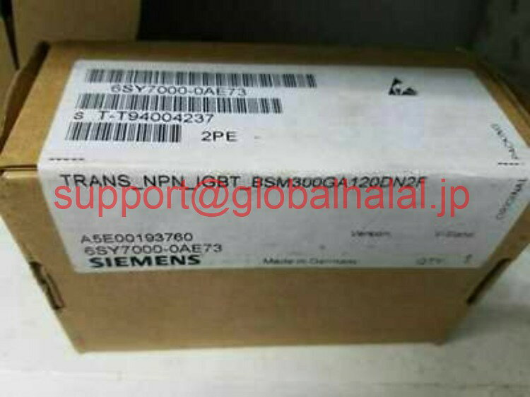 新品NEW MODULE SIEMENS 6SY7000-0AE73 6SY7000-OAE73 OVERNIGHT LOT OF 2 B#93 