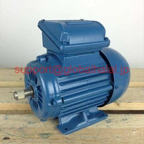 Hewlett Packard - 新品【東京発★適格請求書★代引可】WEG 0.55K31CI2712B3 71-2P 0,55KW 230/400V B3 CI 【6ヶ月保証】