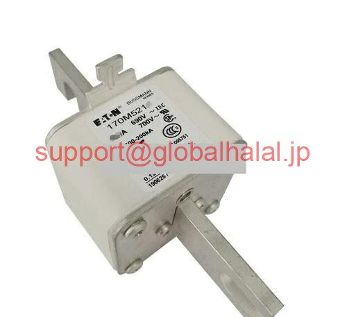 Panasonic - 新品【東京発★適格請求書★代引可】ヒューズ170M5212 690V 630Aの2PCS 【6ヶ月保証】