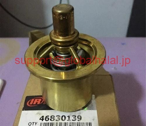 Apple - 新品【東京発★適格請求書★代引可】Ingersoll Rand 46830139 Valve 【6ヶ月保証】