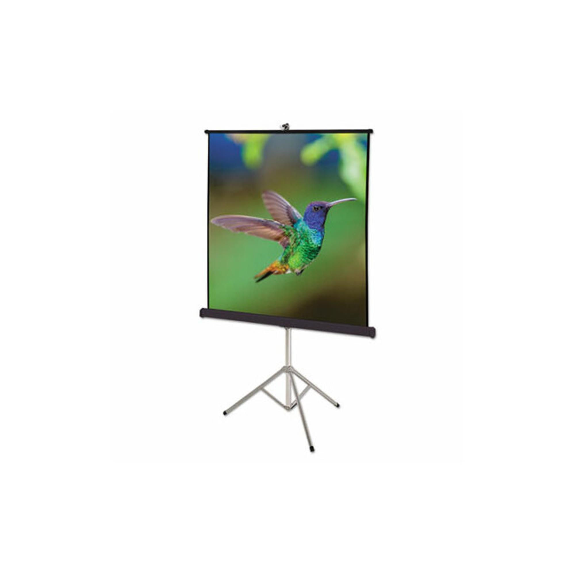 Quartet Portable Tripod Projection Screen 70 x 70 Inches High-Resolution Matte Surface (570S) by Quartetテッツソツス