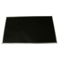 LCD Display 15.4 Inch WXGA