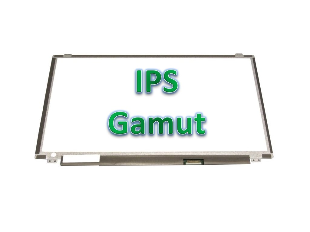 DellLCD Dispaly 15 6 Inch