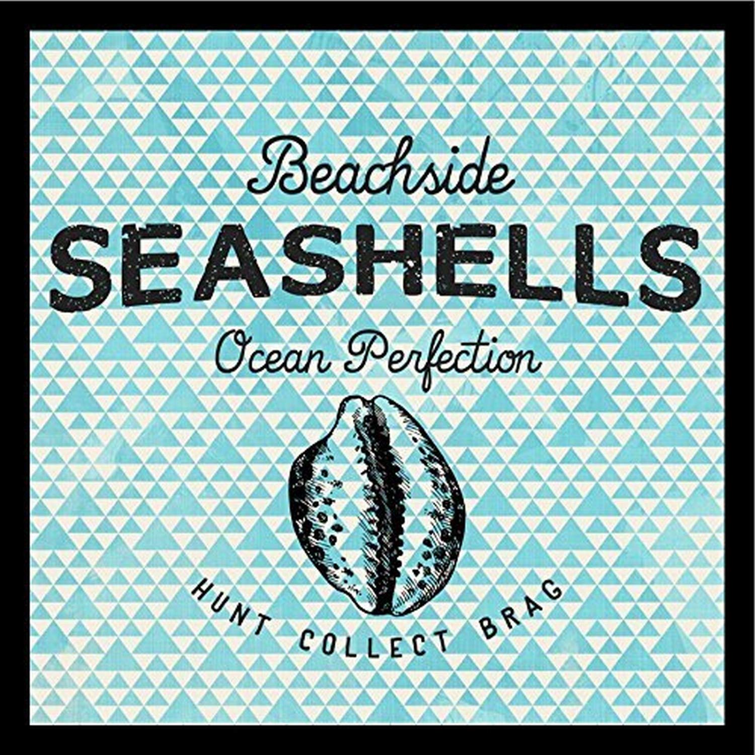 Framed Beachside Seashells by Brandiフィッツジェラルド36 x 36アートプリントポスターOcean Perfectionハント収集Brag抽象ブルー三角形デザイン
