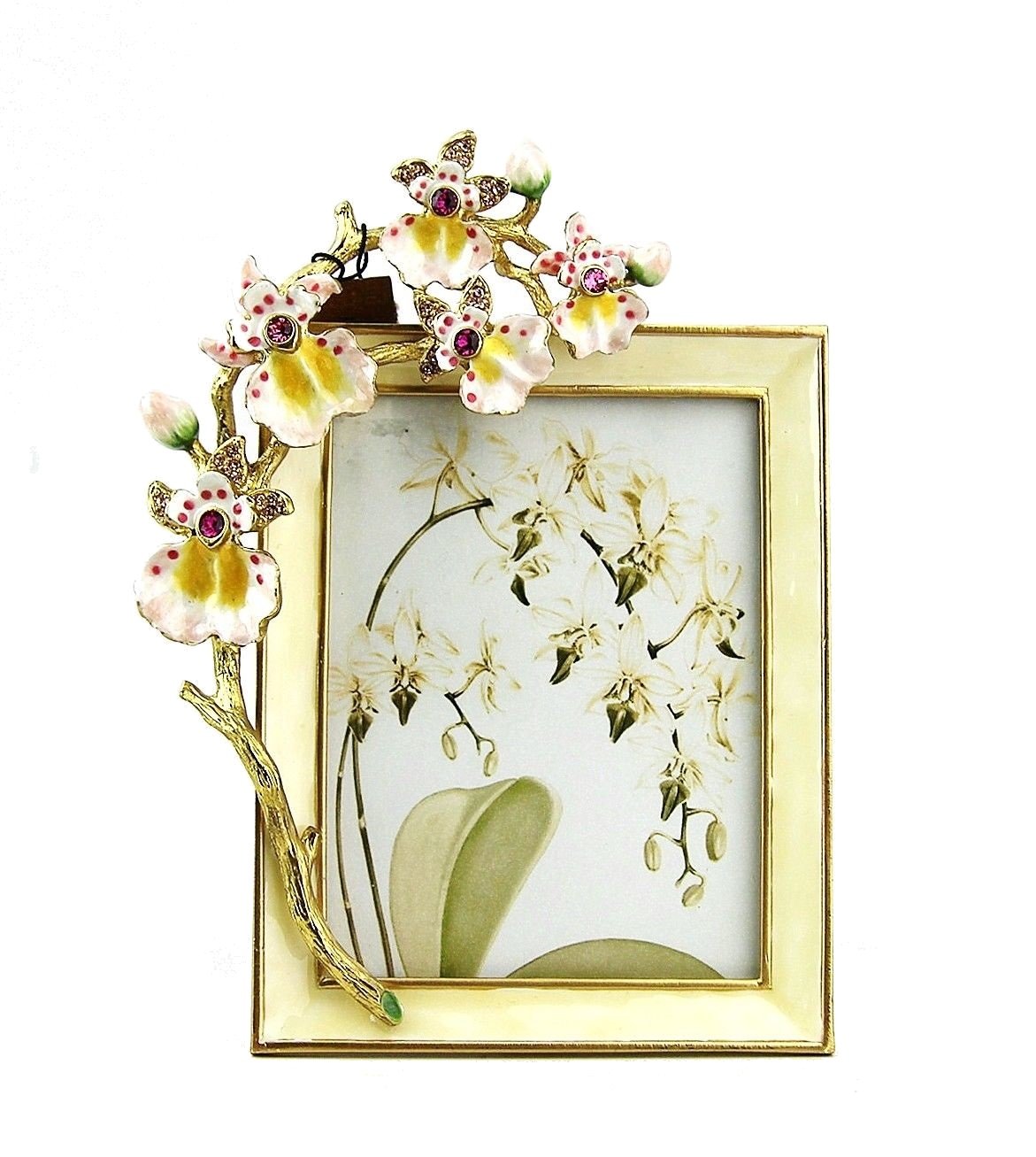 Jay Strongwater Kelsey Orchid 3インチ x 4インチ フォトフレーム