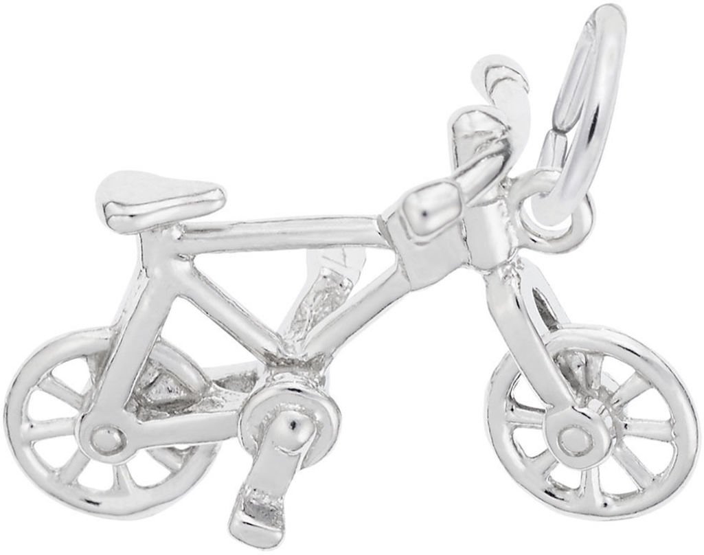 レンブラント詳細な自転車チャーム
