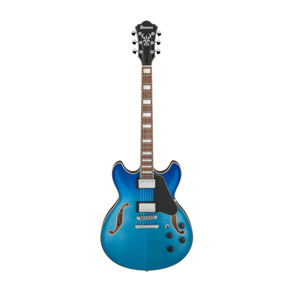 Ibanez エレアコ ソフトケース付 新品弦張替済 Ibanez AS-73TCD セイモアダンカンPU搭載 | ヤマダウェブコム