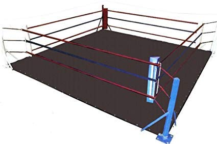Refill Ink - MMA フロアリング キャンバスマット レスリング ボクシング 体操 武道 (ブラックキャンバス 20 X 20)