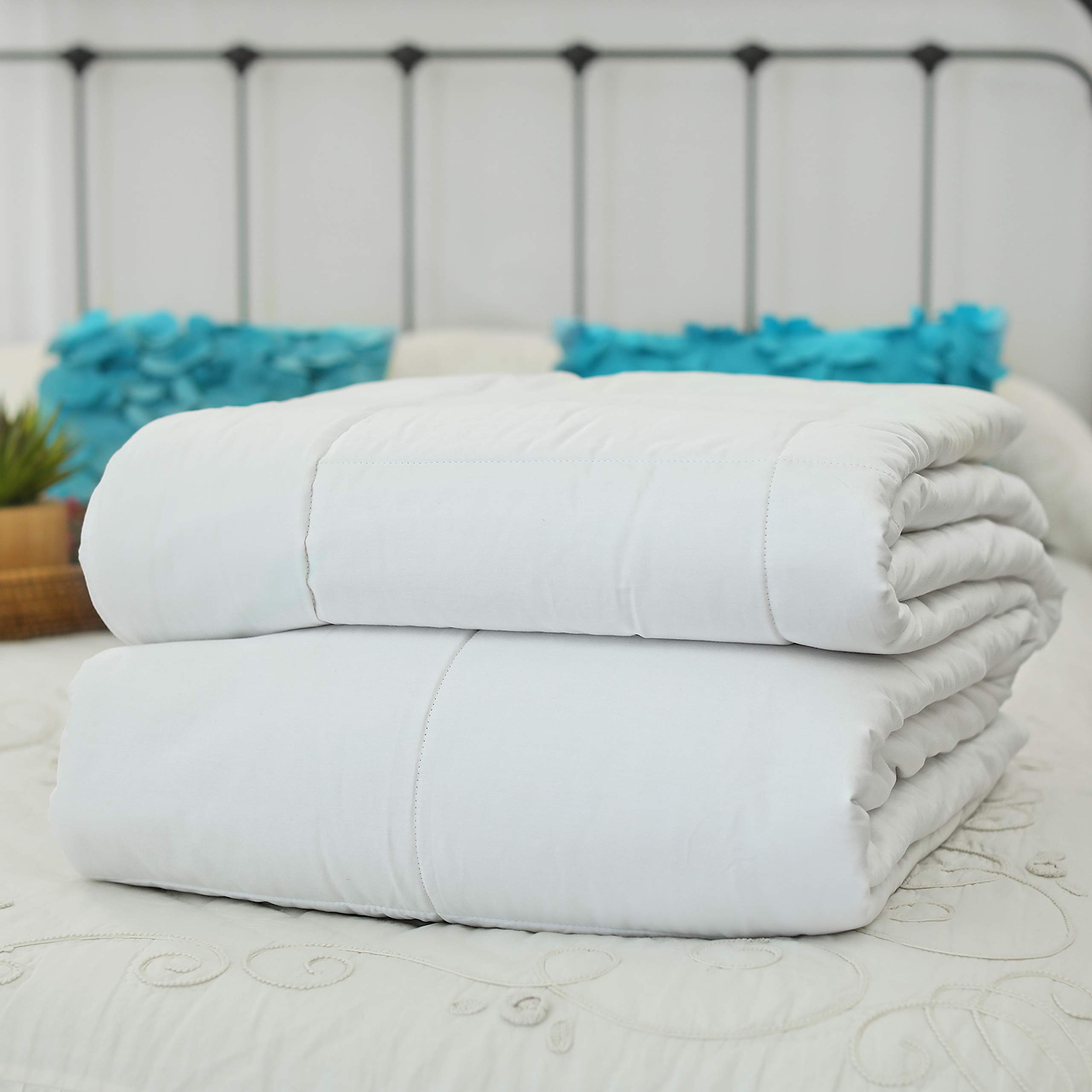 �����륷������ �ޥ�٥꡼���륯��Ŷ�ݤ����� �ݤ����� ���󥰥������� ��/���βơ� 104����� x 90������� �ޥ�٥꡼���륯100%�� ��ڡ� �㥢��륮������ �����ƥå���ǧ�ڡ�