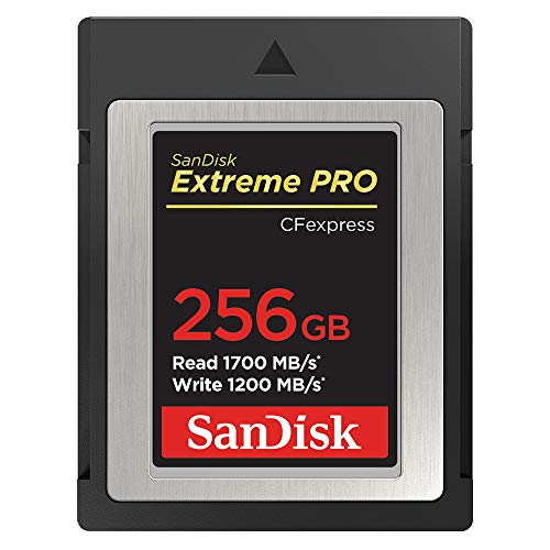 SDCFE-256G-JN4NN (256GB) SDCFE-256G-JN4NN (256GB)