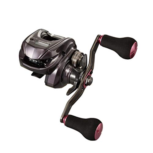 ダイワ(DAIWA) 21 紅牙 IC 150PL