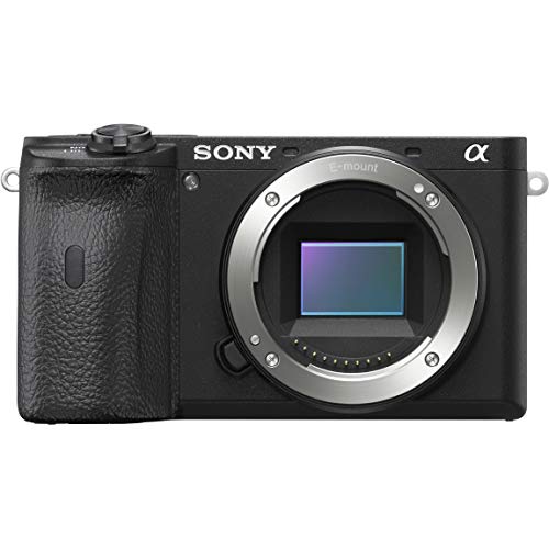 ソニー SONY ミラーレス