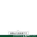 日東工器 デルボ 極小精密小ねじ用電動ドライバ DLV7331-SPC(4)