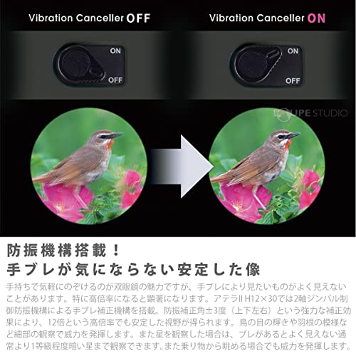 global研究所のVixen ATERA II H12×30(チャコール) 12倍 双眼鏡｜アングル2