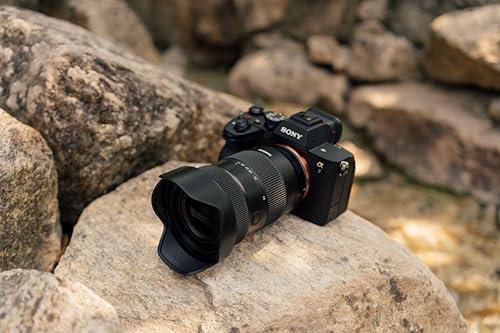 タムロン 17-50mm F/4 Di III VXD ソニーE用 (Model A068) ブラック