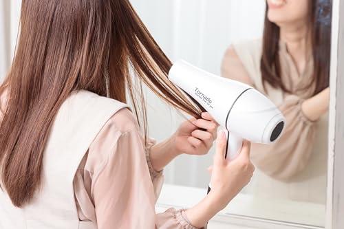 FUKAI ACトルネードターボイオンドライヤー | 速乾 大風量 ハイパワー プロ仕様 マイナスイオン発生装置付き ターボ機能付き FPW-3002