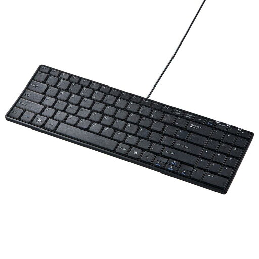 サンワサプライ 英語配列USBスリムキーボード パンタグラフ テンキー有り ブラック SKB-E2U サンワサプライ 英語配列USBスリムキーボード パンタグラフ テンキー有り ブラック SKB-E2U