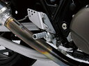 【DAYTONA(デイトナ)】 60623 マルチステップ KAWASAKI用 クリアアルマイト