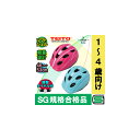 【あす楽】【送料無料】【SG規格合格品】 【TEITO】子供...