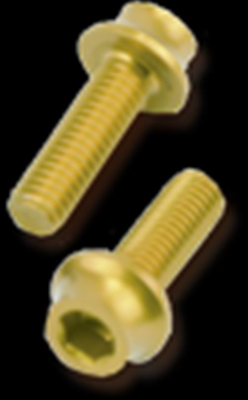 【定形外】 【クエイサー 】 【4582590908813】 123013000 アルミボトルケージボルト 5x15mm 2本セット ゴールド