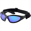 RIDEZ ライズ 【4527625099852】 RIDEZ HAWK SUNGLASS REVO RS-10065 ホークサングラス リーボ(2)
