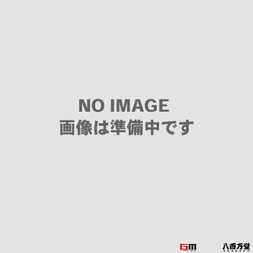 定形外 OGK kabuto 【4966094497026】 補修品 TP-01 テンプルパッド ブラック