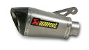 受注発注品 AKRAPOVIC 【4538792578842】 e1仕様 SLIP ON LINE チタン(カーボンエンドサイレンサー)BMW S1000RR 10-14/S1000R 14-16