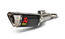【4538792900605】 SLIP ON LINE カーボンBMW F900R/F900XR 20-23 AKRAPOVIC