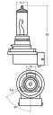 スタンレー 【4907894119893】 NO.119 ブリスターパック 12V 55W