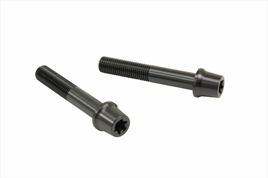 ネコポス プロト 【4550255690236】 ステンレスキャリパーマウントボルト ブラック 60mm テーパーキャップ M10／P1.25 ヘクサロビュラ 2本入