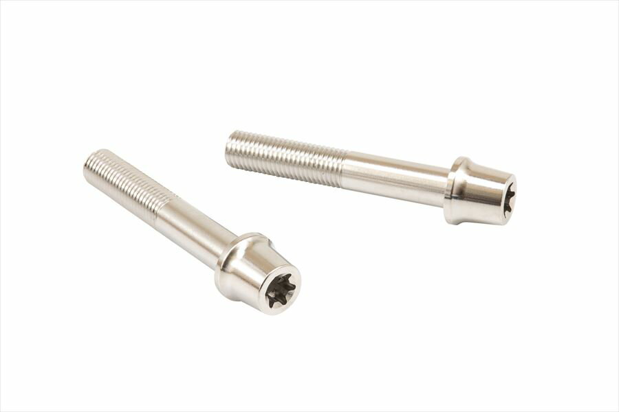 ネコポス プロト 【4550255690243】 ステンレスキャリパーマウントボルト ポリッシュ 60mm テーパーキャップ M10／P1.25 ヘクサロビュラ 2本入