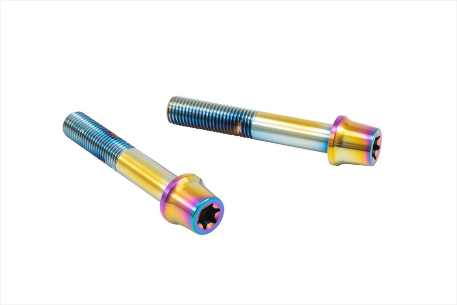ネコポス プロト 【4550255690250】 ステンレスキャリパーマウントボルト チタン色 60mm テーパーキャップ M10／P1.25 ヘクサロビュラ 2本入
