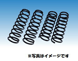 【RG（アールジー）】 【4996327101888】 RG アップスプリング S321 ハイゼットカーゴ 2WD SD010A-UP◆UP SPRING KITスプリング交換だけでスタイリッシュにリフトアップ！それぞれの特徴に合わせた車種別専用設計■乗り心地最重視設計純正スプリング仕様をベースにできる限り乗り心地を維持した設計を行っています。バネレートも伸び側ストローク確保の観点からむやみに上げずバランス重視で仕上げています。※純正ショックを使用するため、車高が上ることで約1°〜1.5°ほどポジティブキャンバーになります。（逆はの字）　調整する場合は市販のキャンバーボルトなどを使い調整してください。※リアホーシングデフの車はデフ重量があるため、路面の段差などにより左右のバタつきが多くなることがあります。■お求めやすい価格より多くの方にご使用頂けるように、リーズナブルな価格設定としました。○希望小売価格（税込）1台分：16,500円〜50,600円※各車の価格は車種別適合表をご参照ください。■車検対応※車高のアップ量は直前側方運転視界基準に準拠する範囲ですが、車両仕様や検査官判断などにより車検検査で不合格となる場合があります。この場合、ドアミラーなどに前方・側方視認できる補助ミラーなどで対応できる場合があります。（詳細は車検検査場及び軽自動車検査協会にてご確認ください。）■3年間5万キロ保証安心してお客様がお買い求め頂けるように、ヘタリ保証制度を導入しております。最高級素材（SAE9254及びSWOSC-B）を仕様しているがゆえの自信でもあります。（保証内容：お客様は当製品をご使用された際、下記保証に関して弊社規定に基づき新品と交換させて頂くという制度です。） 【車高に関する保証】弊社が定めるアップ量（カタログ表示値）より大幅に下がった場合、新品と交換させて頂きます。ディーラー（メーカー）オプションにてローダウン仕様のお車や車両個体差などもあります。この場合はカタログ表示値通りに上らない場合があります。ご注意ください。【社内測定基準にてヘタリが見られた場合交換いたします。但し、取り付けや取り外しに関する作業工賃や発送に関する送料、代車手配等に発生する費用は一切受け付けておりませんので予めご了承ください。】【商品破損に関する保証】車輌に商品取付後、商品自体が破損した場合において新品と交換させて頂きます。※保証対象外となる事項及び詳細内容は「取説・保証規程」をご参照ください。 ＜適合車種＞車種：ハイゼットカーゴ型式：S321Vエンジン型式：KF年式：07/12〜品番：SD010A-UP ※2WD商品の詳細な情報については、メーカーサイトでご確認ください。商品及び品番は予告なく変更が行われる事がございます。【ご注文の際の注意事項】●適合・取付・ご使用は、お客様にて判断の上お願い致します。●品切・完売の場合がございますので、受注後に発送予定をご連絡させて頂きます。●画像はイメージとなりますので商品とは色・デザインが異なる場合があります。 ●商品ご到着時に必ず製品に不具合が無いか確認を行ってください。 配送時の破損や製品不具合の場合は、必ず商品ご到着より3日以内にご連絡お願い致します。それ以降にご連絡頂いた場合はご対応出来ない場合がございます。●当店では、商品不良・誤商品発送以外の理由での商品の交換または返品はできません。●お客様のご都合によるキャンセル・交換・返品は一切お受けできませんのであらかじめご了承の上ご注文ください。●お電話、メールにてお問い合わせ頂きましても、お客様都合のキャンセル・返品・交換の対応はすべてお断りさせて頂いております。 ●通信販売には法律上、クーリングオフの規定はございません。　ご注文は慎重にお願い致します。※※こちらの商品はお取り寄せ品となります※※メーカーの在庫状況や商品によっては発送までにお時間を頂く場合がございます。メーカーの在庫も完売している場合がございます。その際はキャンセルをさせていただく場合がございます、予めご了承ください。