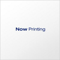 【4997035706044】【送料無料】【[アールエスタイチ]】 RSA031 TAICHI mark USBメモリ P SV RSA031