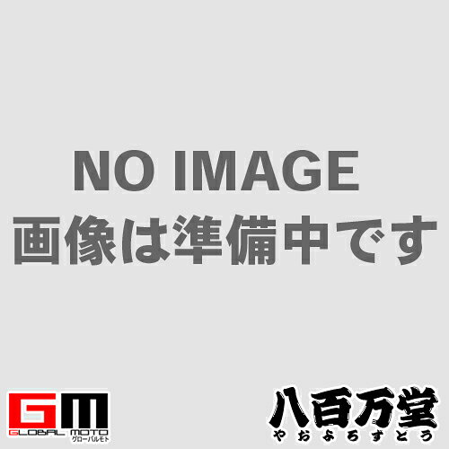 【4712918990545】【エックスガード】 GO-PROアダプター [4712918990545] X-GUARD