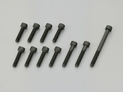 【DAYTONA(デイトナ)】 18709 ケースカバースクリューキット ブラックメッキ YAMAHA系用