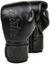 フェアテックス Fairtex ボクシンググローブ 【BGV14】 マイクロファイバーグローブ 本場タイ産 格闘技