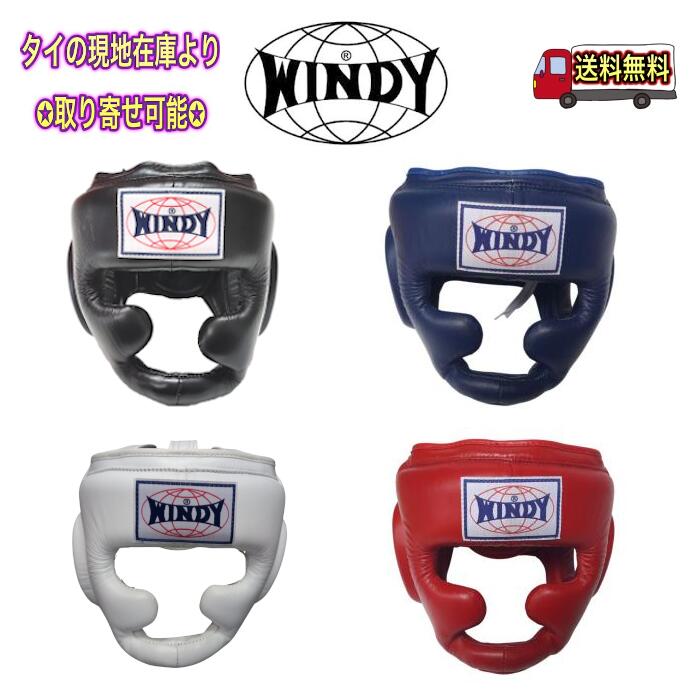  HP2  EBfB wbhMA headgear {NVO WINDY G^C iZ   