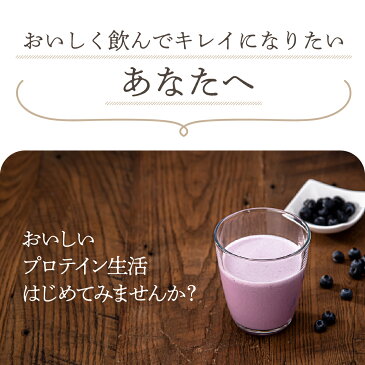 ダイエットプロテイン エクサスリム LCD(低糖質)プロテイン ブルーベリーアサイー 袋タイプ 女性におすすめ ソイプロテインとホエイプロテインのW配合 ビタミン12種類 糖質を抑え高たんぱく 1食置き換え 溶けやすい WPI 簡単 キレイと健康をサポート