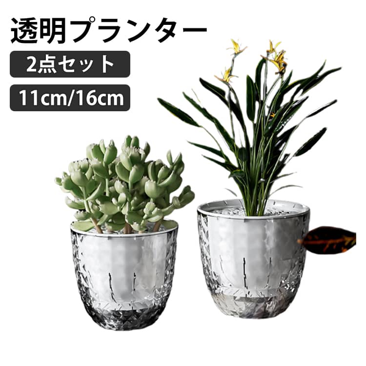 Glass Bowls - 洋蘭ポット 透明プランター 16cm 室内 便利 自動給水 鉢カバー ガーデニング 屋外用植木鉢 室外 通気孔 11cm 2点セット プランター ミニ観葉 鉢 多肉植物容器 胡蝶蘭鉢 植え替えセット 花 栽培 育苗鉢 屋内用プランター プランター プラスチック 乾燥防止 排水