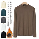 tシャツ 重ね着 細身 タートルネック カットソー メンズ ロンT タートルネック ビジネス 伸縮性 インナー おしゃれ 無地 春秋 トップス 冬 秋服 2枚組 通勤 レイヤード ハイネック 大きいサイズ 暖かい 極暖 モックネック 厚手 裏起毛 秋冬 M L XL 2XL 3XL 4XL 5XL(4)